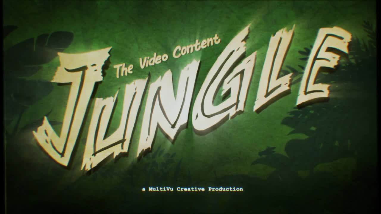 Navigating the Content Jungle