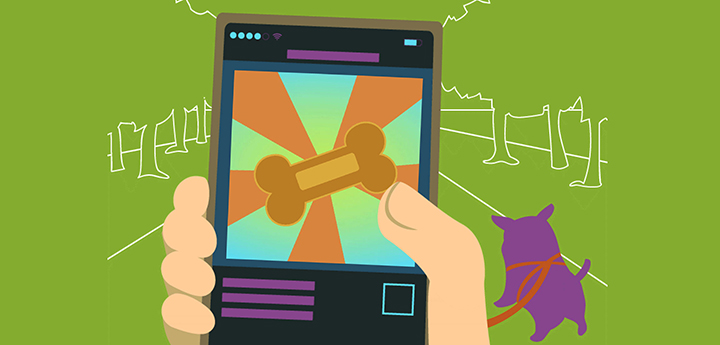 Phone in hand - walking dog